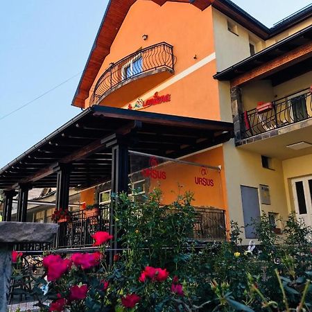 Pensiunea Montana Borsa Mm Băile Borşa Eksteriør billede