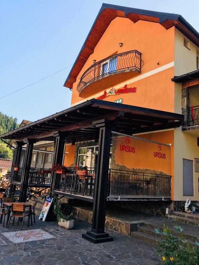 Pensiunea Montana Borsa Mm Băile Borşa Eksteriør billede