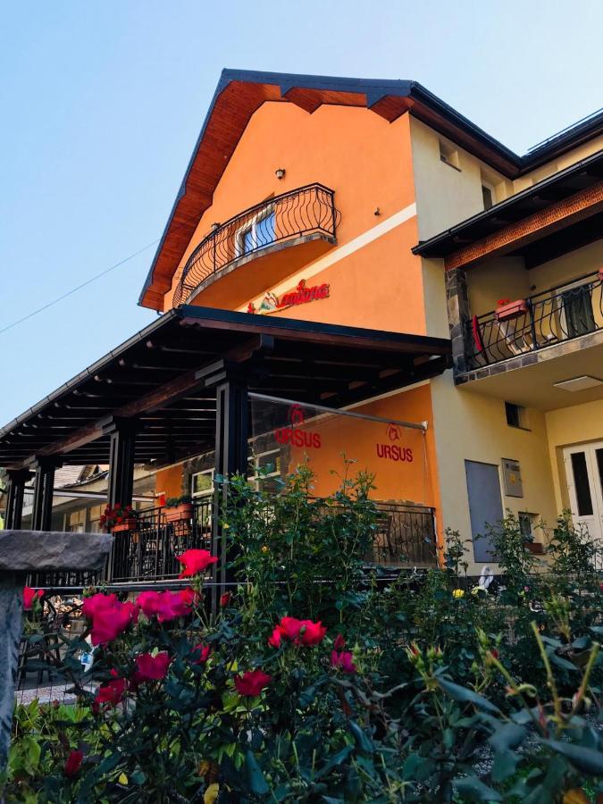 Pensiunea Montana Borsa Mm Băile Borşa Eksteriør billede